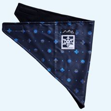 Skida Bandita in Starboard